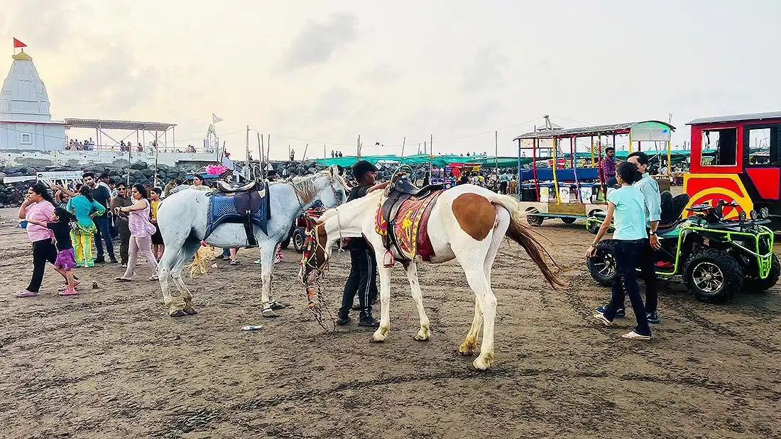 Horses for riding at Dumas Beach Gujarat with toy train and ATV visible in background