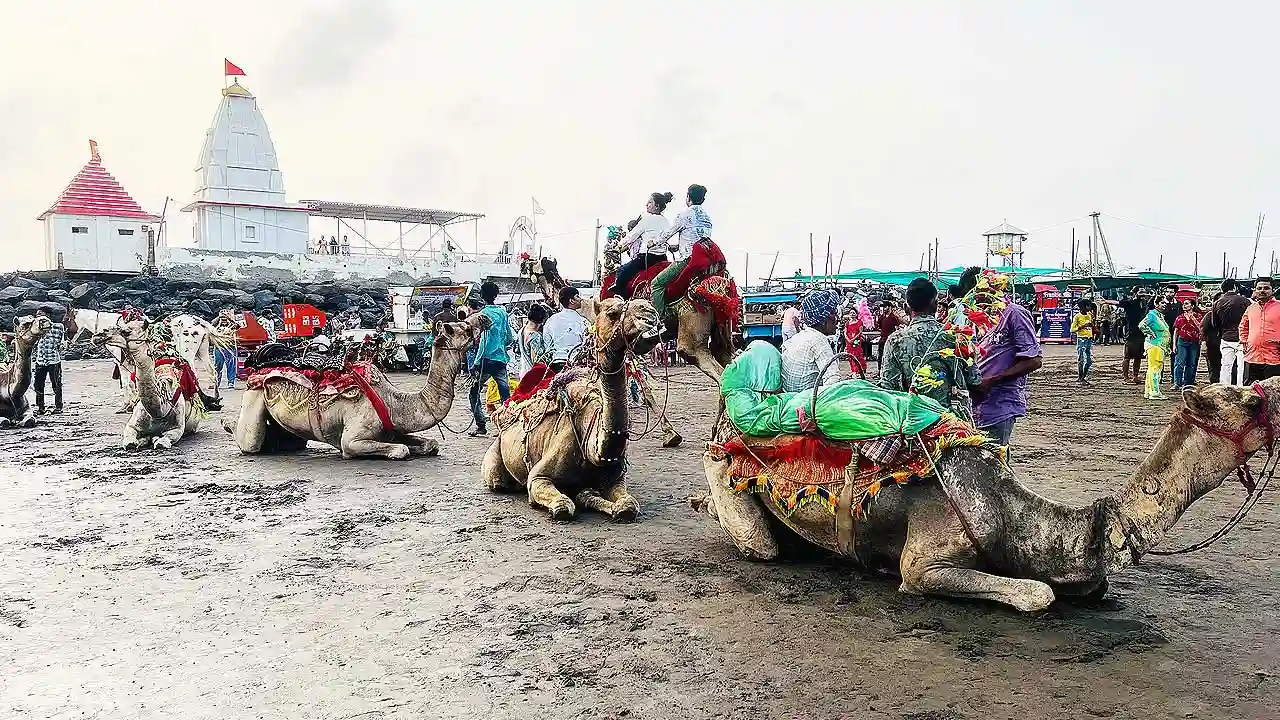 Dumas Beach Surat camel ride with Dariya Ganesh Temple and crowd in background